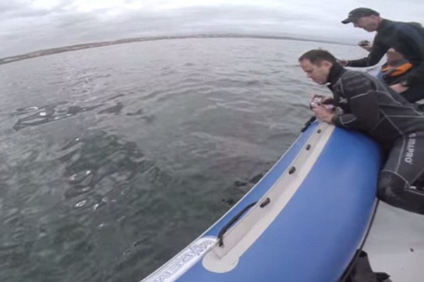 �ϷǴ������˺ҧ��Ӱ��������Ƥͧ