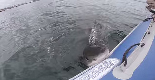 �ϷǴ������˺ҧ��Ӱ��������Ƥͧ