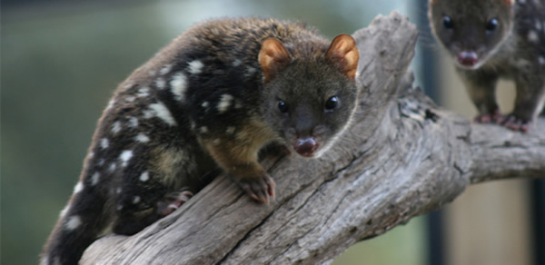 �Ĵ����Ǵ�����