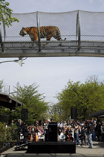 �����ѳǶ���԰�������è�ƶ�����š�