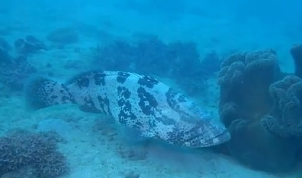 ̨�������Ѷ���ں�ɺ�����������ǡ����ʯ�ߡ�ʧ��