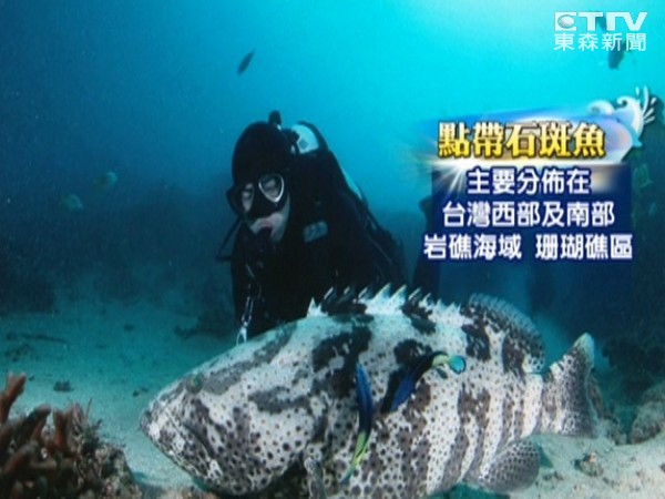 ̨�������Ѷ���ں�ɺ�����������ǡ����ʯ�ߡ�ʧ��