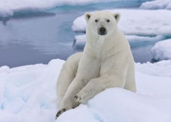 �����ܵĵ��̴�ˮƽ��ǳ��ߣ�ȴ�������ಡ�����š�