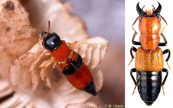 ����������������