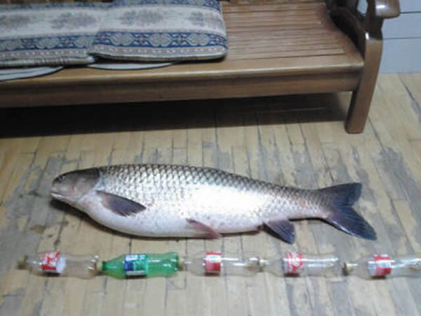 �������ӵ�����1�׾��Ͳ���