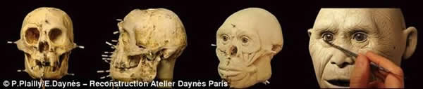图中模型是18000年前的弗洛瑞斯人，其相貌是通过牙签标记测量颅骨所获得信息呈现的。