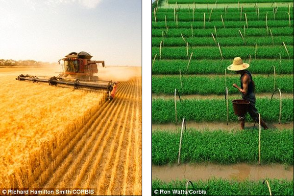 ������ũҵ������ʽ�Ĳ�������ǵ����Ļ�����ĸ�Դ