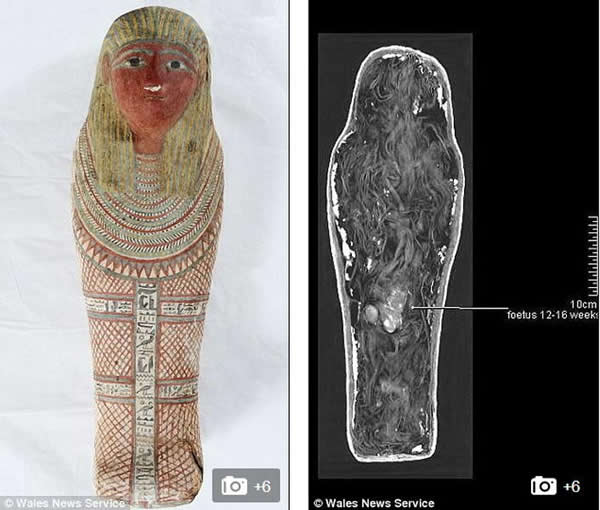 ���ѧ���Ի�40��֮�õ�ľ�������Ž���