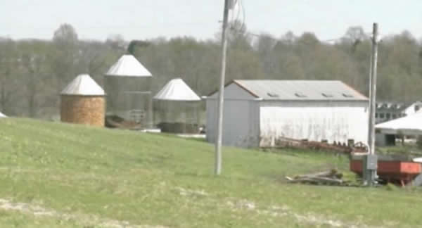 ������ͼ��ũ������