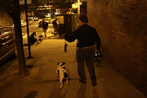 狗主人比尔·雷纳和他的小狗帕克,他们刚成功完成捕杀行动。