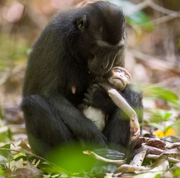 ӡ�������ǵ������������ҹ�԰⨺��������������ȥ�ĺ��Ӳ���