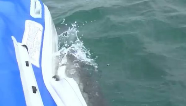 �ϷǺ�������蹥����Ƥͧ