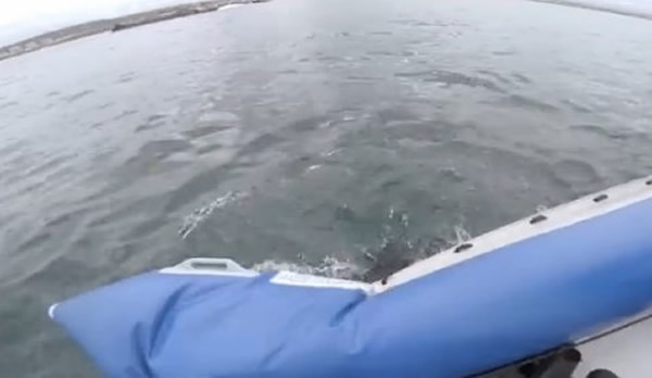 �ϷǺ�������蹥����Ƥͧ