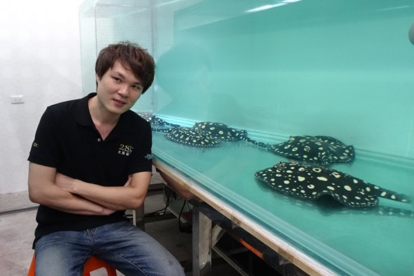 ̨��ˮ���������ˮħ����׬��������һͰ��