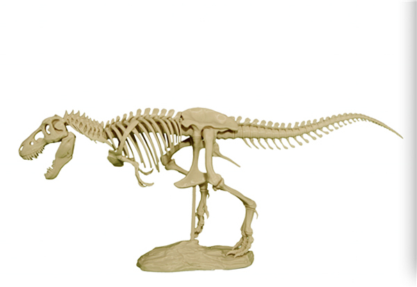 3D��ӡ�������Ǽ�