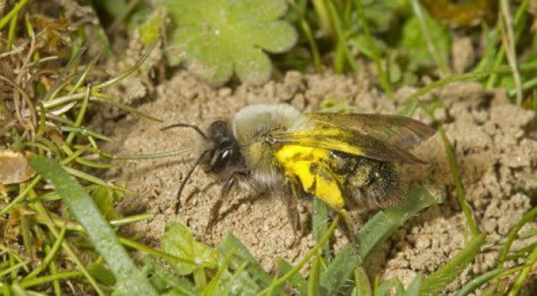 ����۷䡰�������߼ӷ䡱����Ӣ��