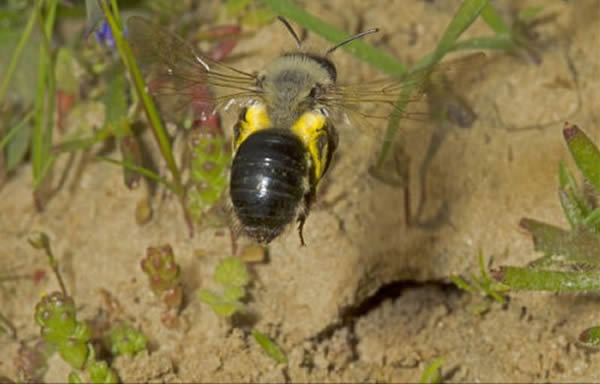 ����۷䡰�������߼ӷ䡱����Ӣ��