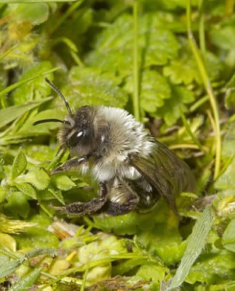 ����۷䡰�������߼ӷ䡱����Ӣ��