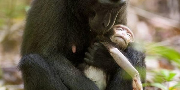 ӡ����ĸ�ﻳ����ȥ���������������Ӳ�������