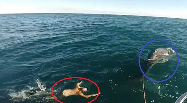 ޸(Ȧ)νסβ͵ͷ(Ȧ)Ϊ