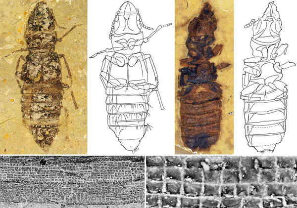 1.25ǰ滯ʯĢԴʱǰƽ2500