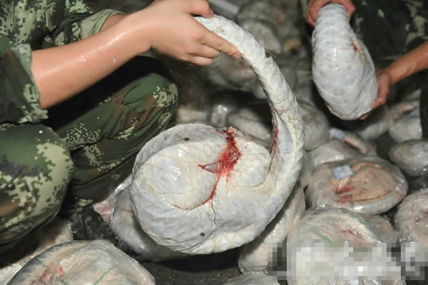 �߷���Աչʾ��˽�ļ�����ɽ��