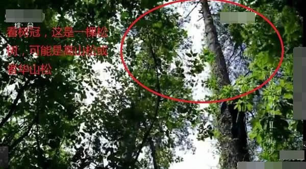 ��ͷ������һ������