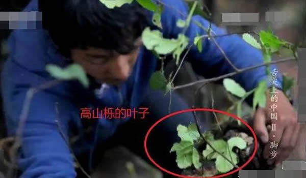 ��ͷһת����˸�ɽ��