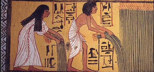 古埃及画作中可见古人已懂得种植农作物