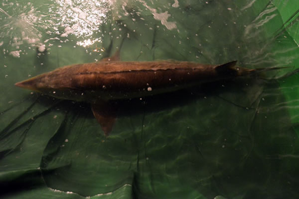 ���ִ��۽����ְ��꺱��280��������