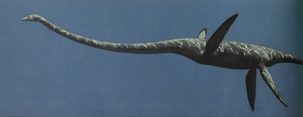 依拉丝莫龙复原图