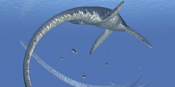 依拉丝莫龙复原图