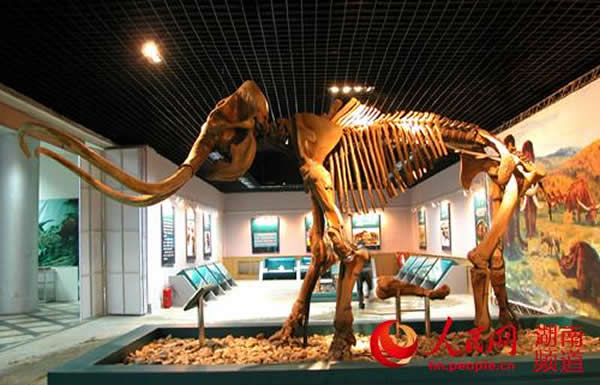 �й����ʿ��ﱦʯ�������ֳ�չʾ��������