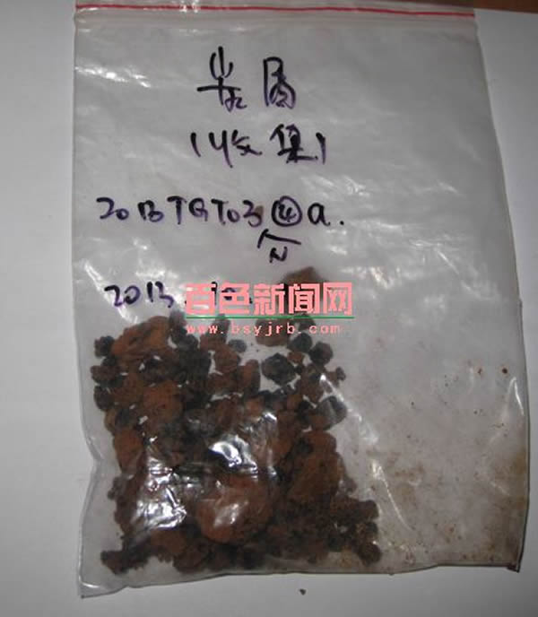 出土的炭层标本