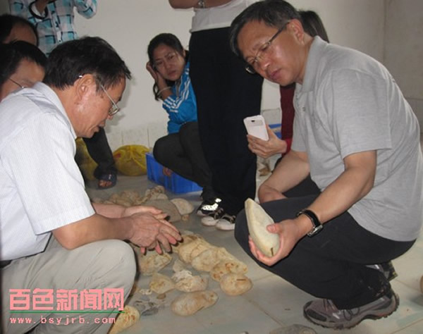 北京专家在鉴赏标本