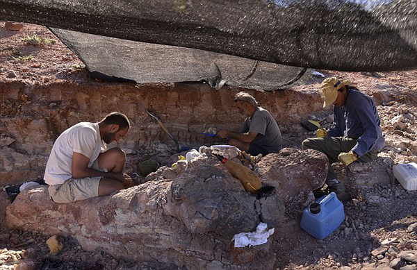 世界上最大的泰坦巨龙 1_201405190207401TM4T.jpg