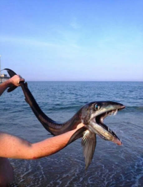 ������㱻�������������������ݵĺ�̲