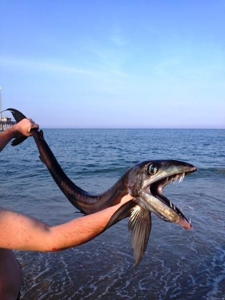 ����������������������������ݺ�̲����