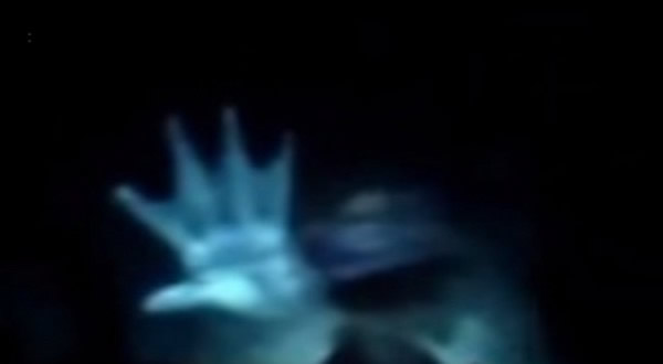 影片拍到此生物「五指间有蹼」。