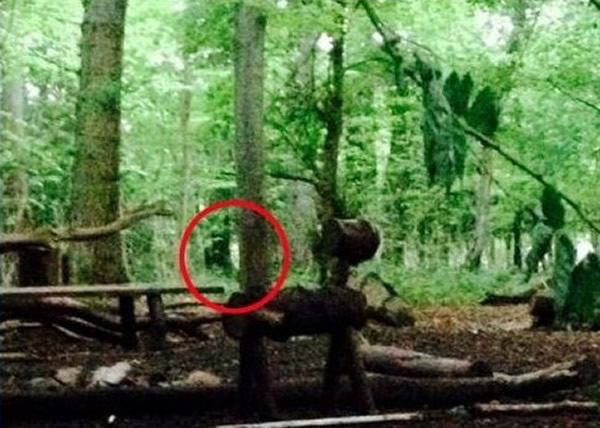 Ӣ��2������Ů��Ұ��¶Ӫ���ơ�ײ����