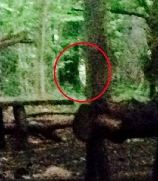 Ӣ��2������Ů��Ұ��¶Ӫ���ơ�ײ����