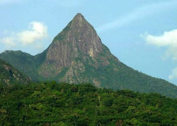 ��������ɭ�ֹ�԰���й��ִ���Ƭ��������ȴ�����