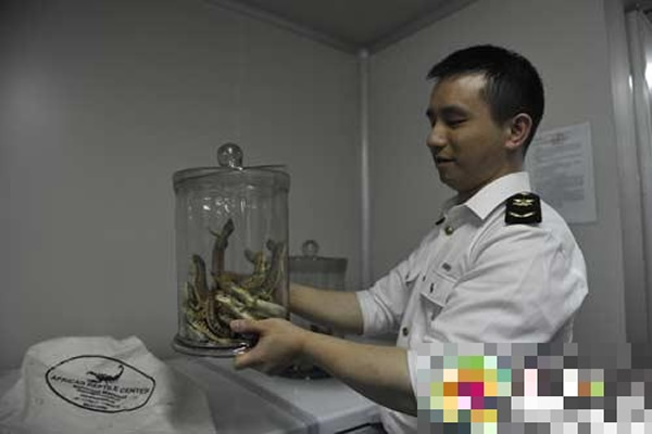 ���������ʰ��ش������޻�����