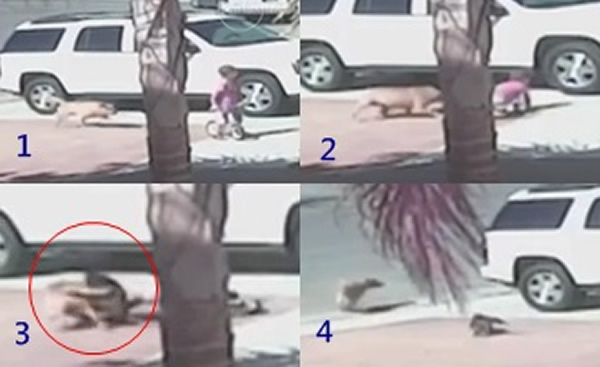 ������è�¶���Ȯ��С����