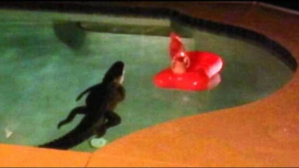 �������������һ�Է��賿����8�ճ����㴳���Ժ��Ӿ�س�Ӿ