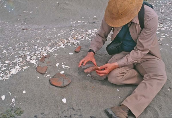 研究发现西班牙从1532年开始对秘鲁的征服导致了沿海人口的迅速减少