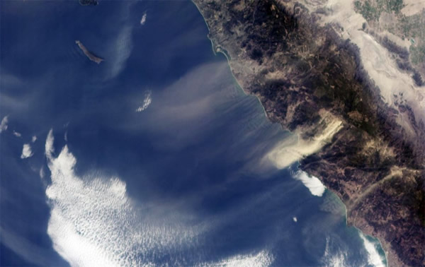 川崎病可能是由于从中国东北部到日本的风携带的真菌颗粒或毒素导致的