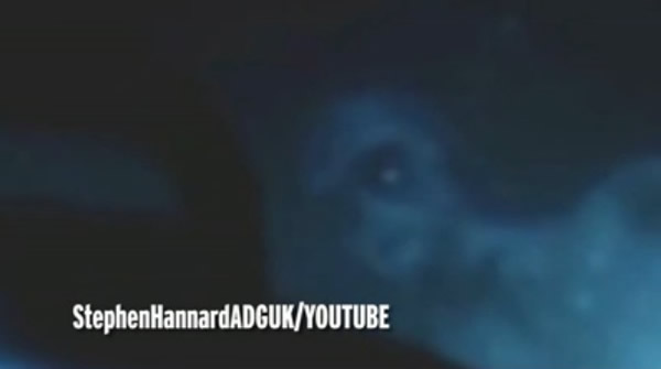 海底发现“美人鱼”视频真伪引争议