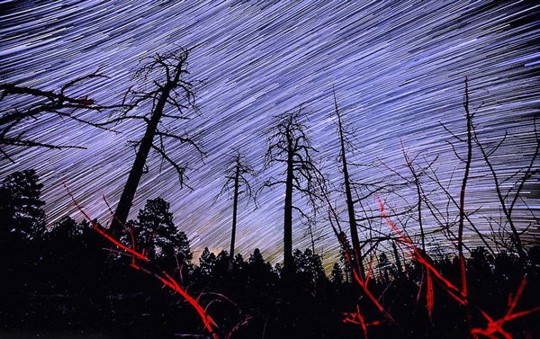 ������Ӱʦ��Ͽ������׳���ǿ�