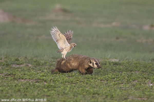 �����ϴ�����ݶ�ع��ҹ�԰һֻѨ�^�����